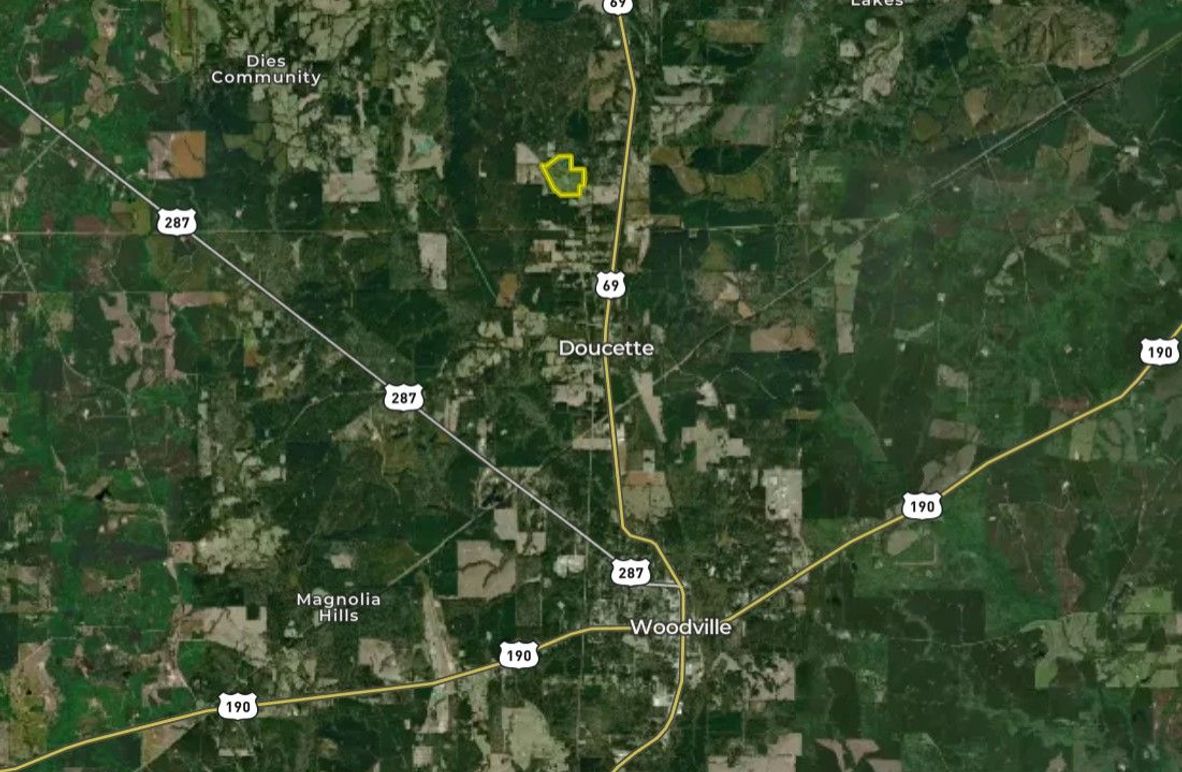 Screenshot 2025-02-10 112000