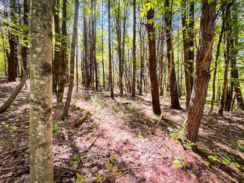 Tioga_28.322_VanNordstrand_Photos_28