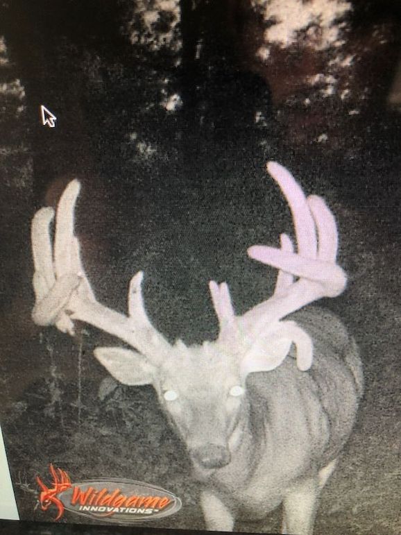 58957874986__5BC0B03F-F9D3-4D7B-8C85-46EE715239AC