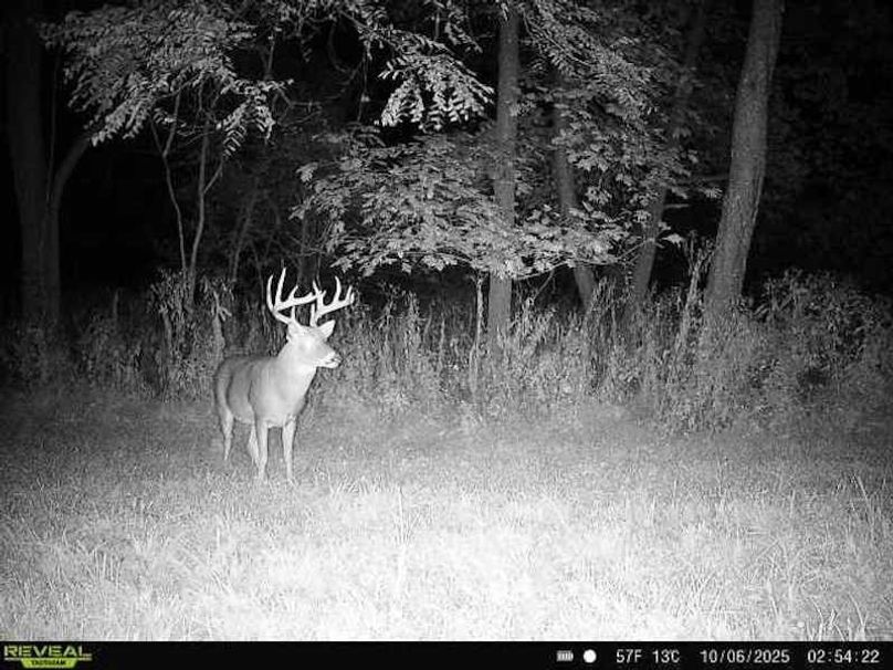 864049057528277-100-4-10062025025422-W1001070