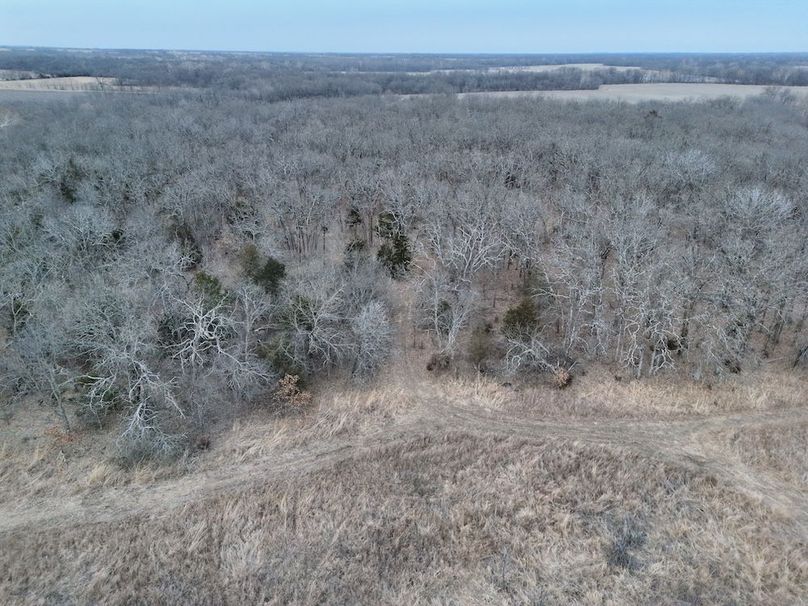 DJI_20260124001547_0018_V