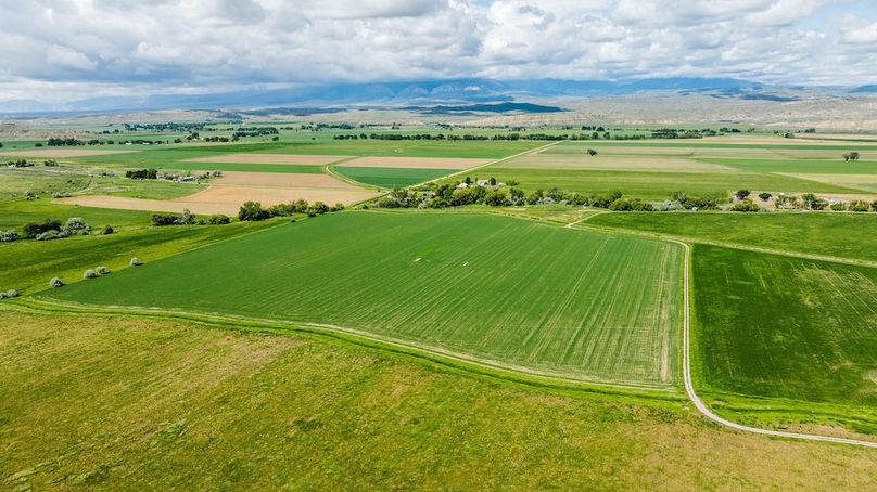 008_dji_20250603105054_0725_d_798