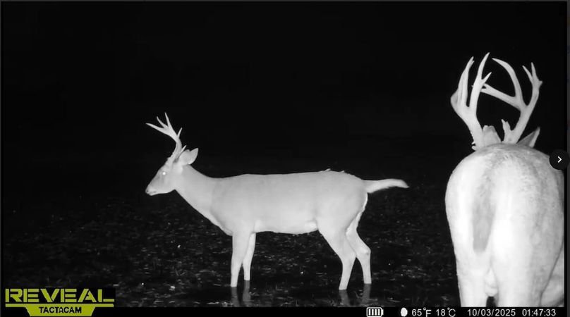 Screenshot_24-1-2026_8188_drive.google.com