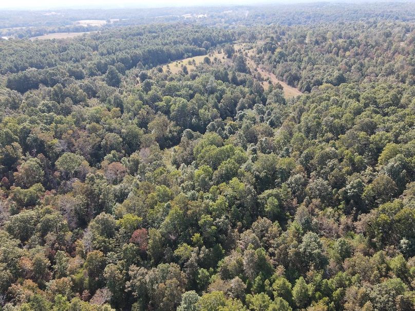 dji_fly_20250902_095336_719_1756824845269_photo