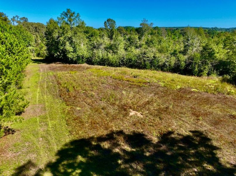 67895F98-9A7C-484F-AE8D-27EA29FEAD98_1_201_a