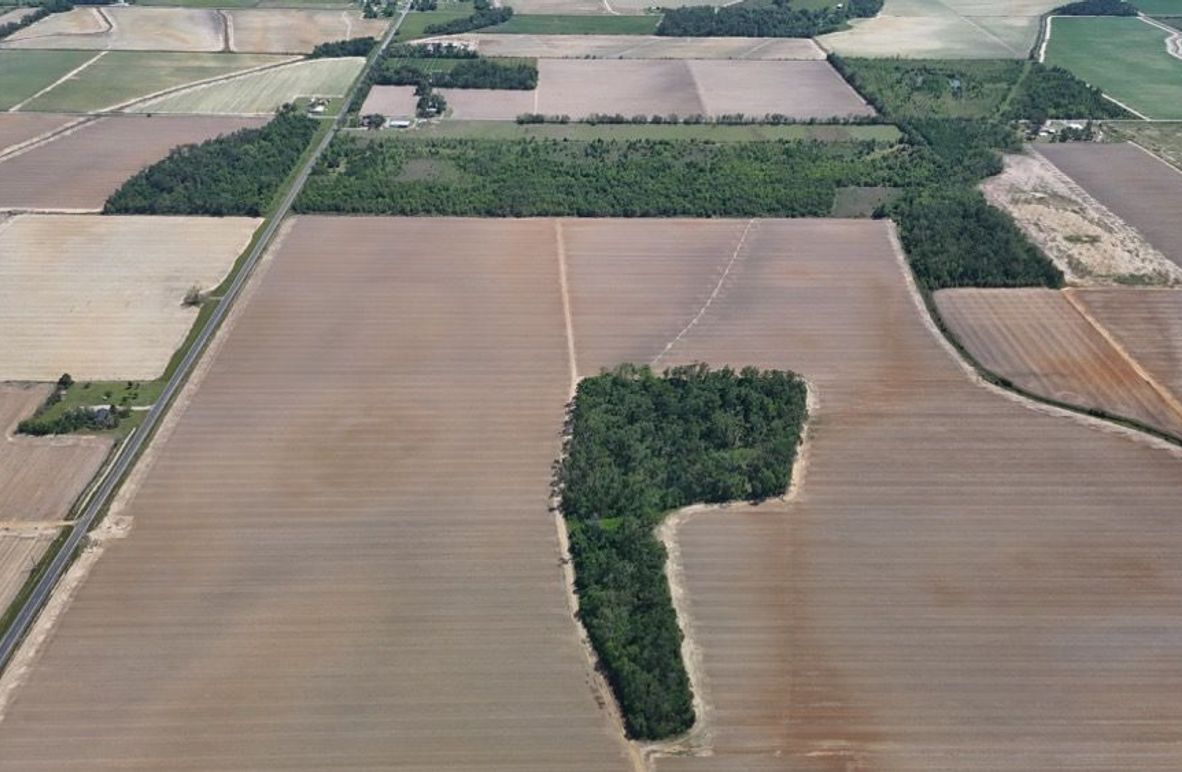 DJI_20260421041610_0255_D