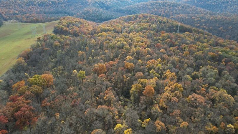 dji_fly_20251105_122518_905_1762380918975_photo