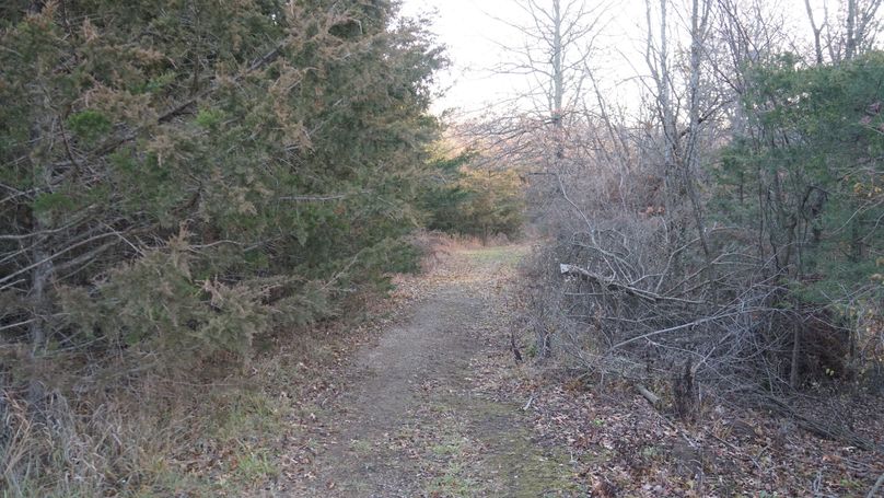 DSC02567