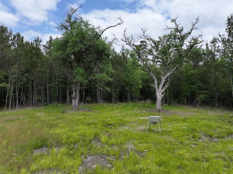 dji_fly_20260417_100912_0112_1776450671519_photo