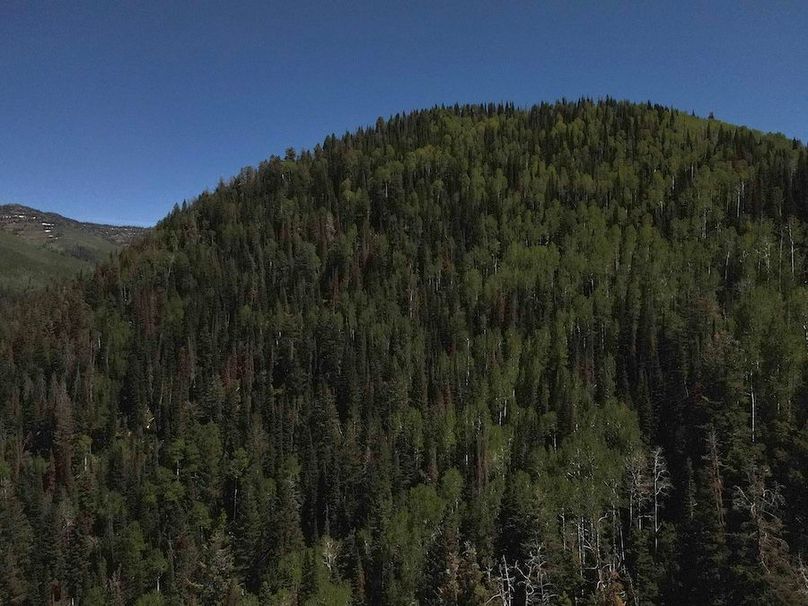 Copy of Photo_1080295637_DJI_213_jpg_4862321_0_202261415316_photo_original.jpg