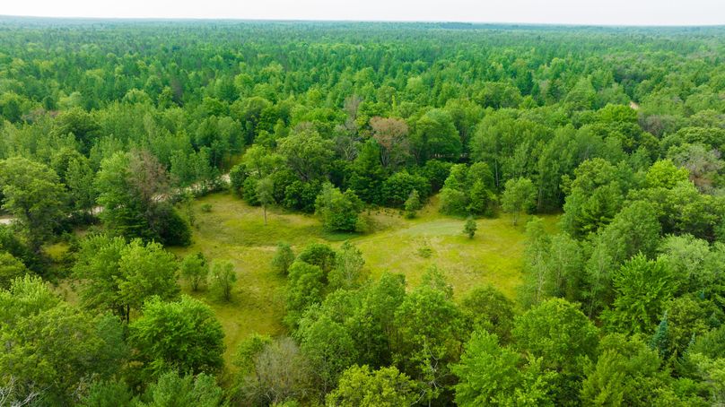 Ogemaw MI 475 Featured Pro Photo-0191