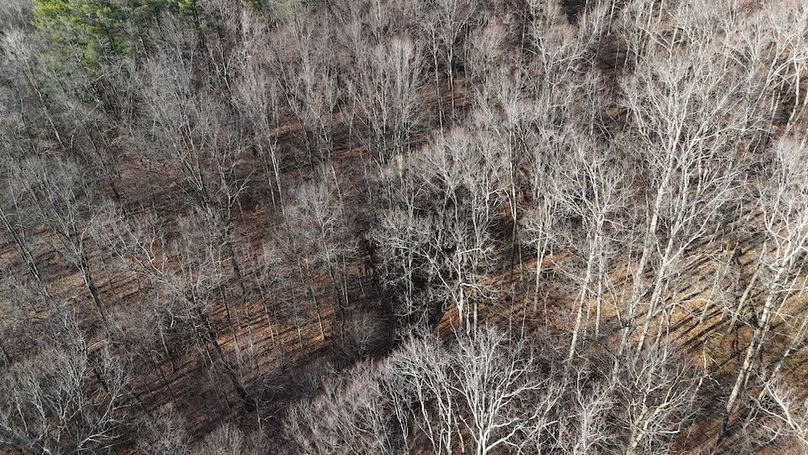 DJI_20251209151113_0689_D