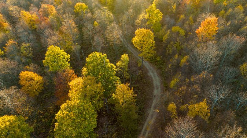 Elk PA 7000 Feature_Pro Photo-175