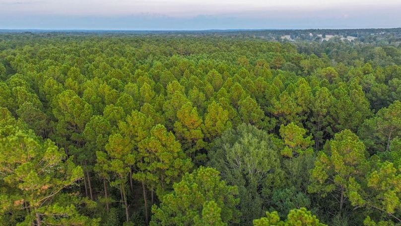 DJI_20250918184216_0257_D