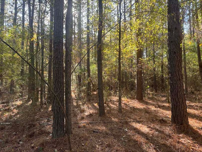 Jeff 11720251111_0219