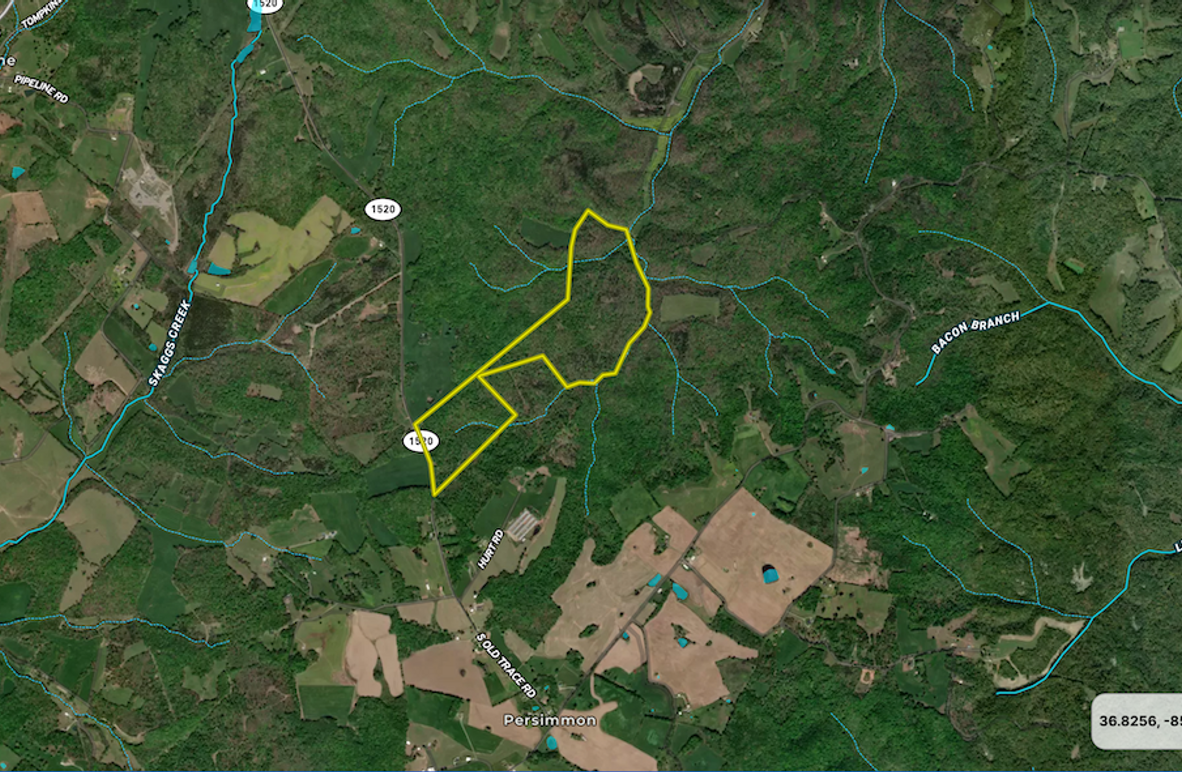 Screen Shot 2025-04-09 at 9.31.00 PM