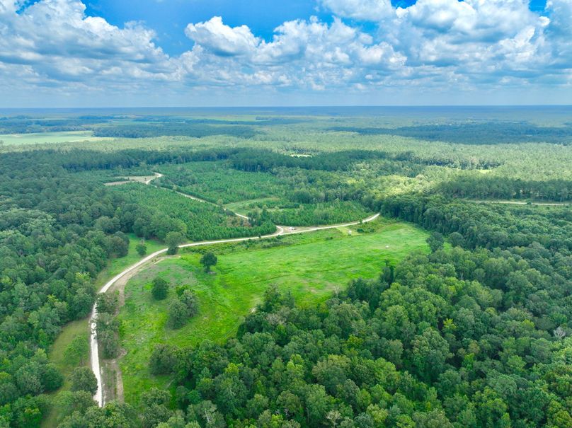 dji_fly_20230731_133046_454_1690845663850_photo