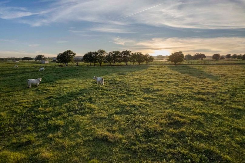 Grayson County- Petska 62 Acres (3 of 15)