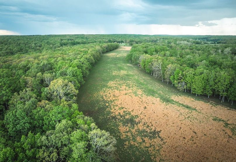 DJI_20250501182632_0349_D