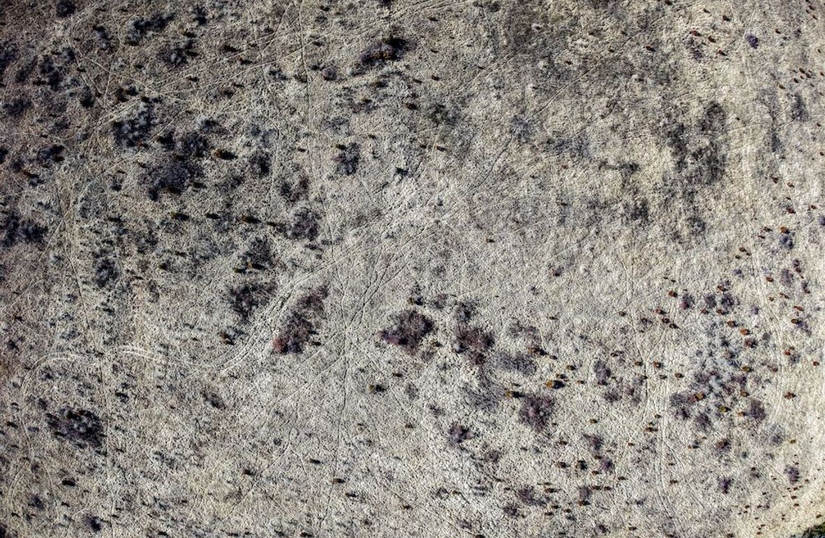 DJI_20260119135919_0797_D