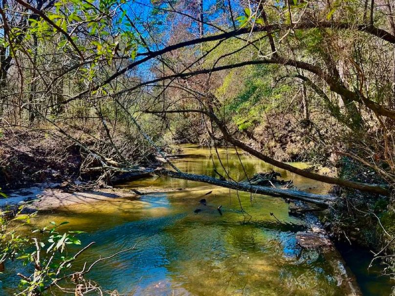 F37638DB-F4CC-416E-9E9A-B3CDB0F6C326_1_201_a