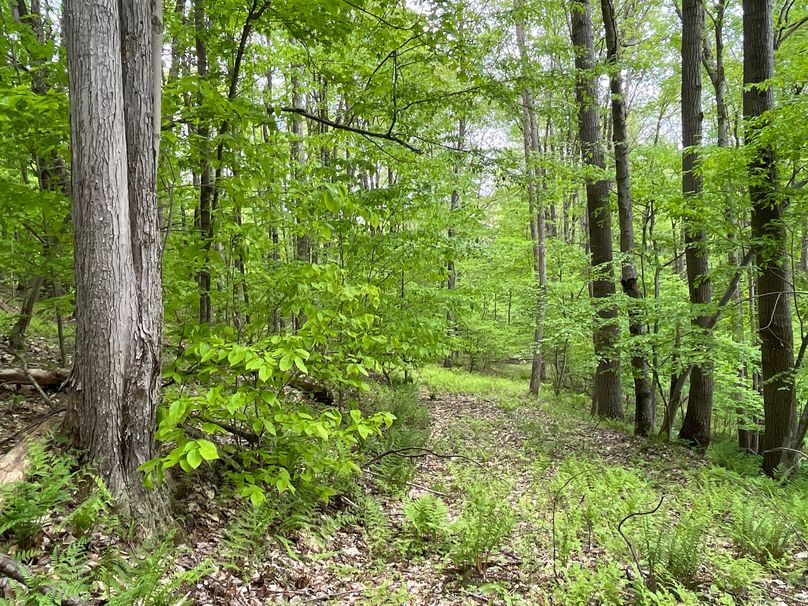 Tioga_18.72_Coulson Photo 28