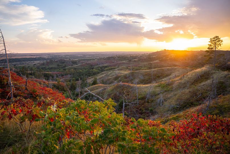 cKeya Paha NE 2700_Pro Photo-120