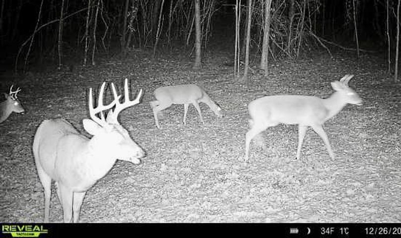 b8ca425b-7fe7-49a1-bb4f-9e76e11d3030