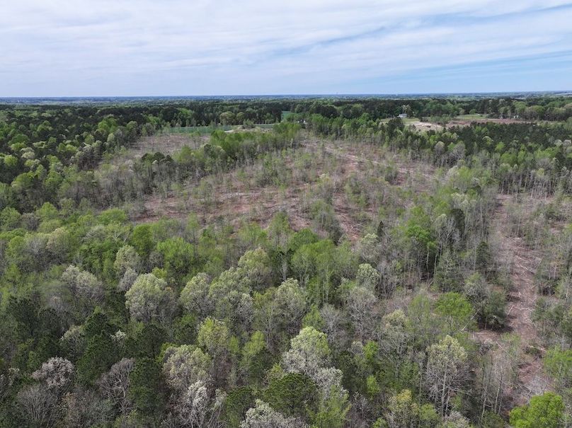 DJI_20260317095319_0592_D