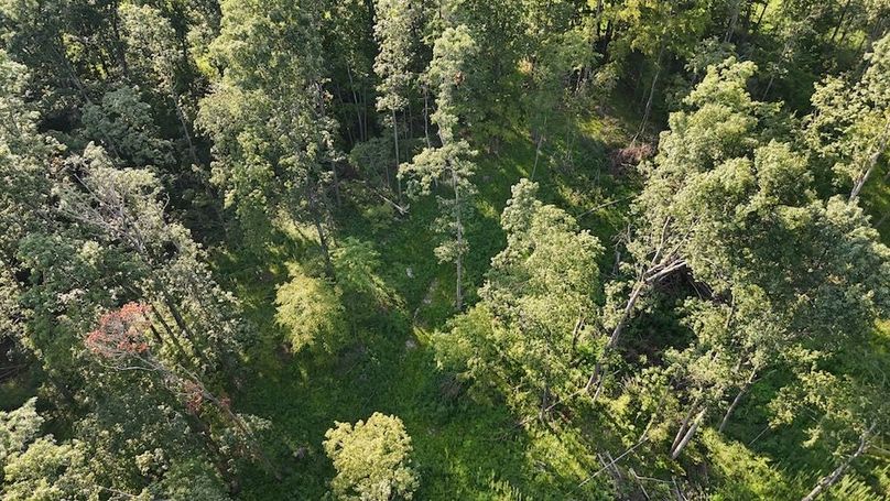 DJI_20250808181920_0812_D