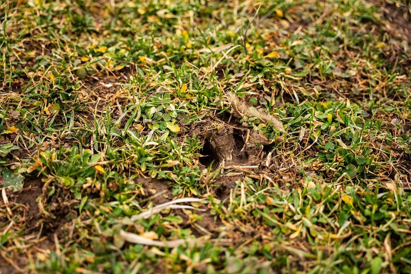 Pike IL 96.87 Adv Pro Photo-40