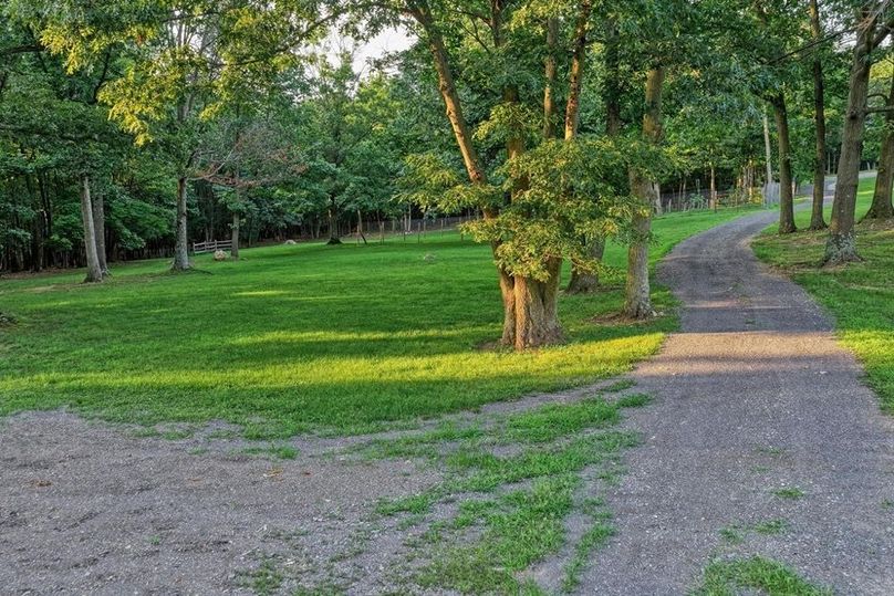 Franklin 59.85_048-2