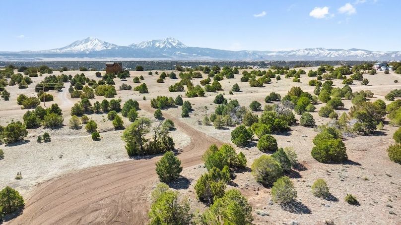 01 - Property View