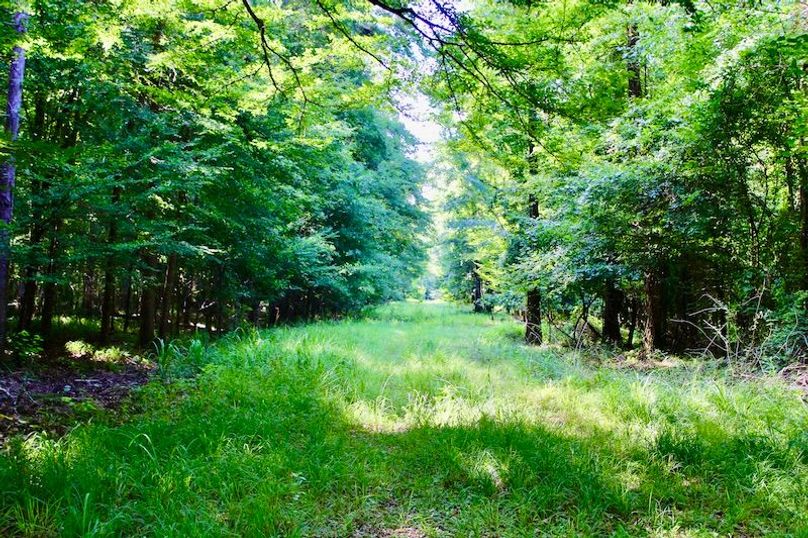 95A8B88D-A131-47A4-9673-218487D3FC12_1_201_a