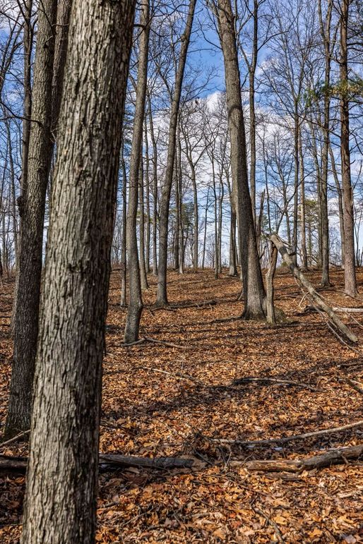 30-web-or-mls-IMG-30