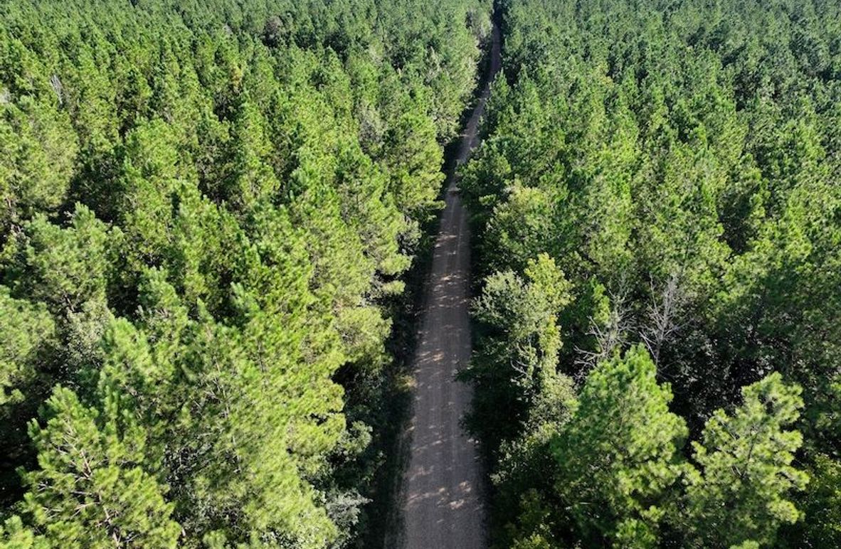 dji_fly_20250908_093758_0414_1757354104536_photo