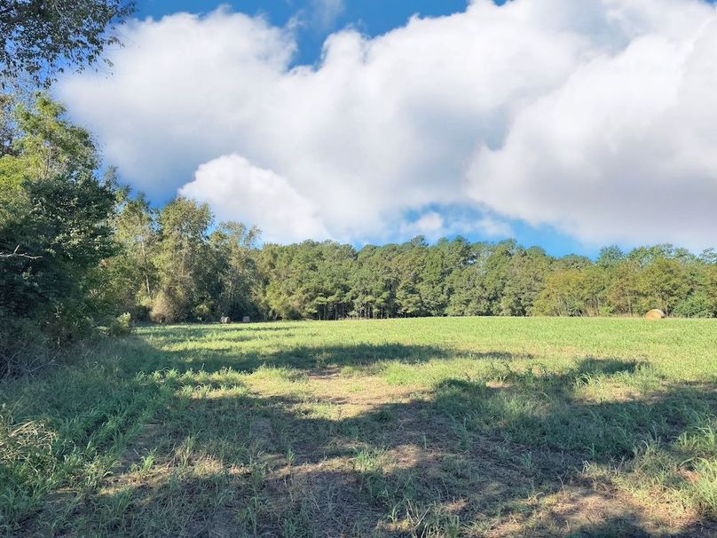 02949AAE-48B9-461E-8FD4-F2F51E776B62