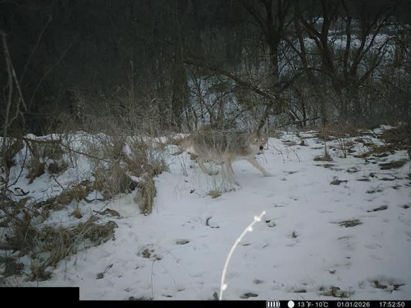 864049054588258-100-4-01312026175307-W1003797