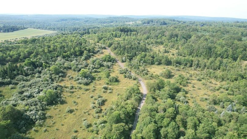 dji_fly_20250804_162458_508_1754355785920_photo