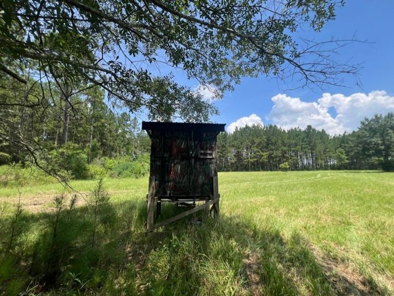 63118823-D71A-4434-A974-8340E6B89F49_1_105_c