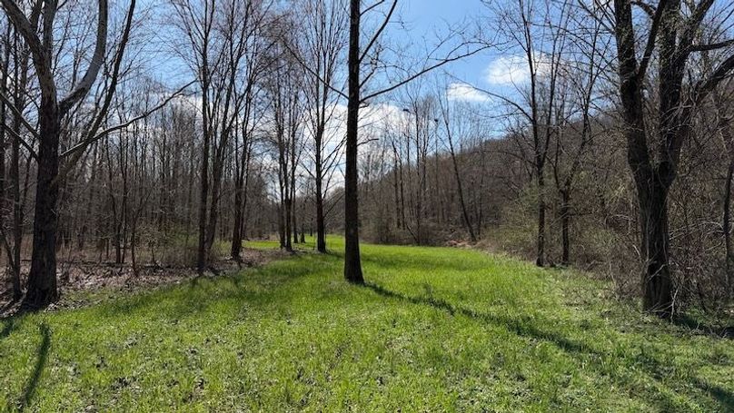 Butler 118 Capella22