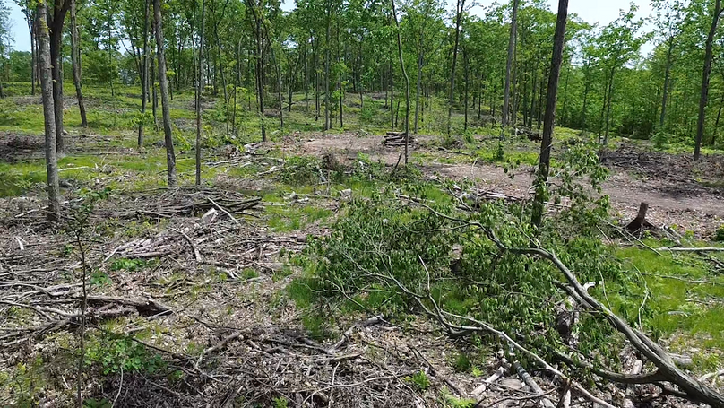 2024-05-24-12-58-36-672