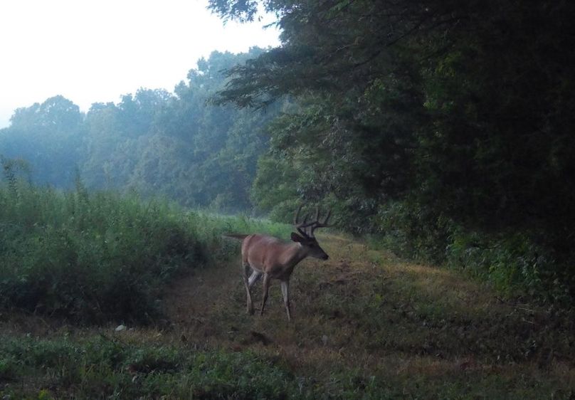 Copy of IMG_3204 Large