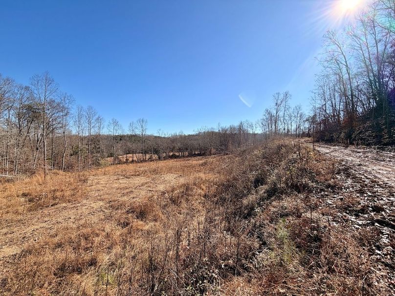 Roane Co TN 396 20251127_61