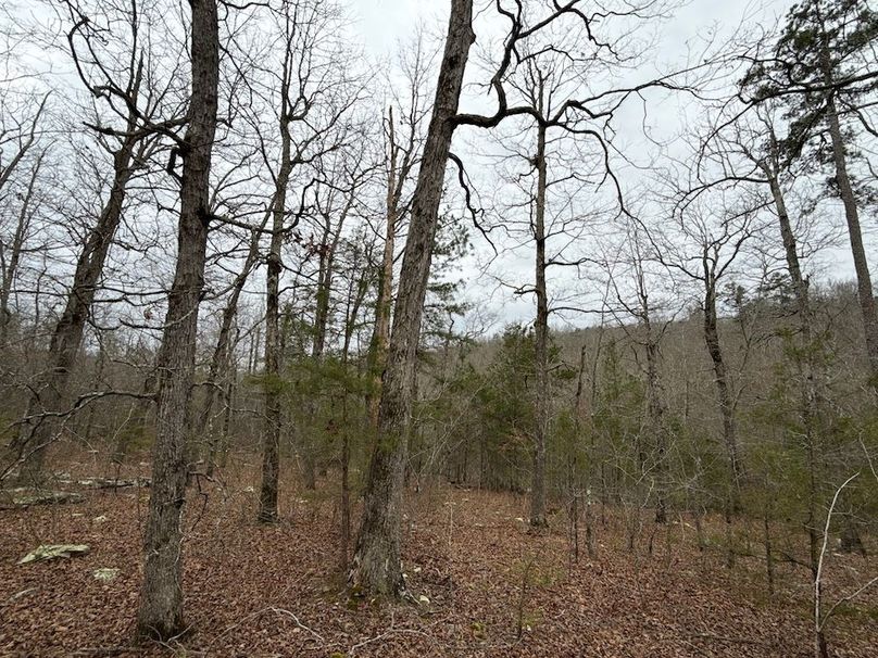 DJI_20260324_104101_718