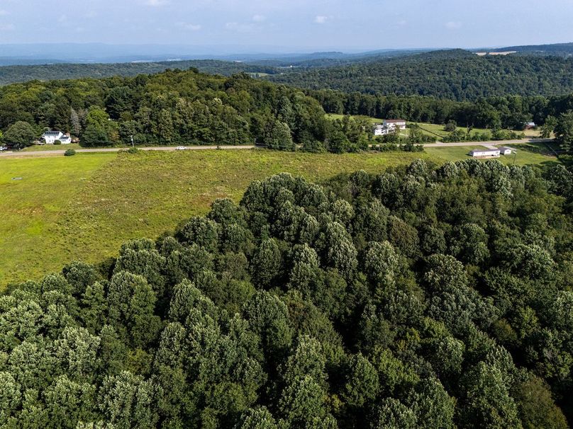 DJI_20250808075502_0207_D