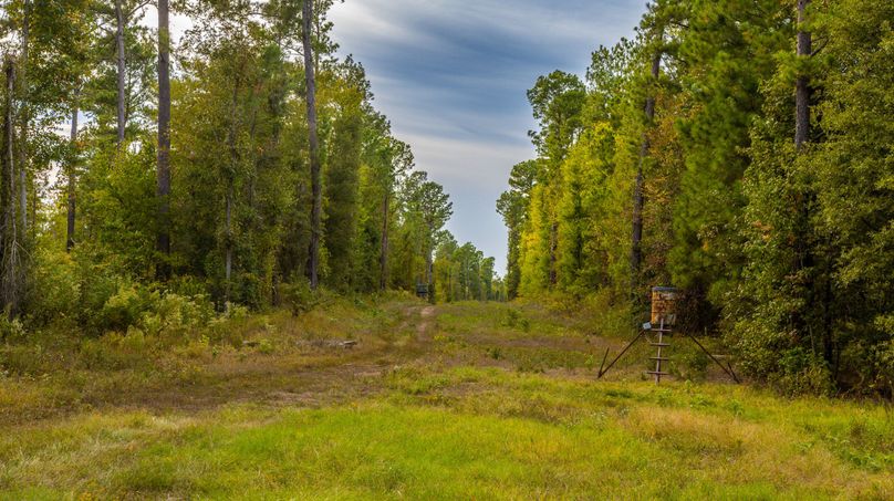 20Upshur Co 603 ac Weise