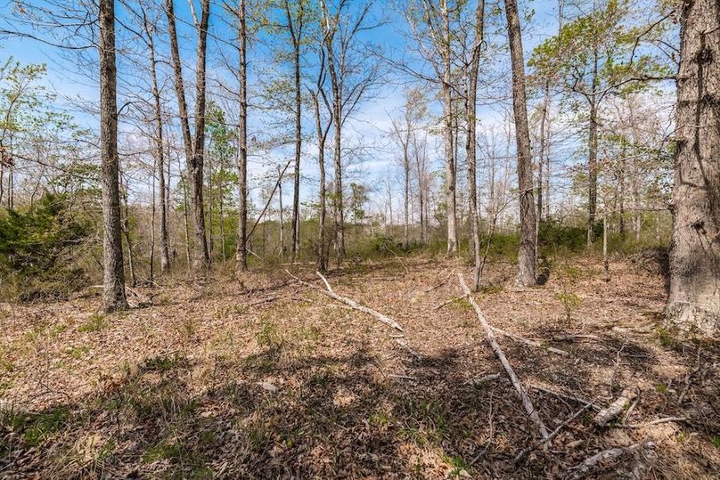 54-web-or-mls-0 Mound Creek Rd-24