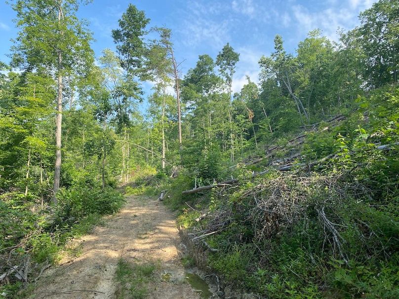 018 some of the network of newly built roads copy