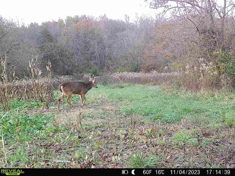 860322065287523-30-3-11042023171438-V-W1006202